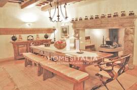 Beautiful villa with pool and olive grove