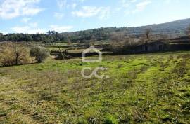 Old Moth Villa with 19,000m2 of Land