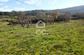 Old Moth Villa with 19,000m2 of Land