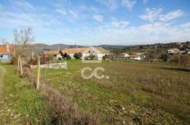 Old Moth Villa with 19,000m2 of Land