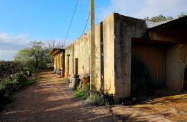 Farm of 6.7ha with two urban farms in Mexilhoeira Grande