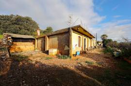 Farm of 6.7ha with two urban farms in Mexilhoeira Grande