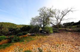 Farm of 6.7ha with two urban farms in Mexilhoeira Grande