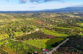 Farm of 6.7ha with two urban farms in Mexilhoeira Grande