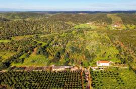 Farm of 6.7ha with two urban farms in Mexilhoeira Grande