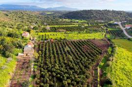 Farm of 6.7ha with two urban farms in Mexilhoeira Grande