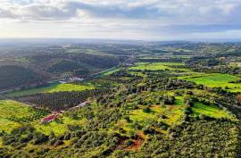 Farm of 6.7ha with two urban farms in Mexilhoeira Grande