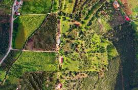 Farm of 6.7ha with two urban farms in Mexilhoeira Grande