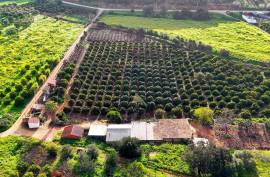 Farm of 6.7ha with two urban farms in Mexilhoeira Grande