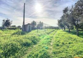 Farm in the heart of the village of Alandroal