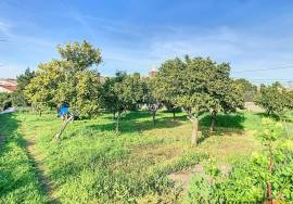 Farm in the heart of the village of Alandroal