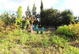 Agricultural Land – 5 Minutes from Messines and 10 Minutes from Algoz