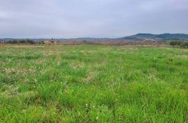 A Hobby Or Change Of Life? 10 Hectares 60 Of Vines On The Same Site, Offering Different Grape Varieties.