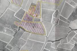 A Hobby Or Change Of Life? 10 Hectares 60 Of Vines On The Same Site, Offering Different Grape Varieties.