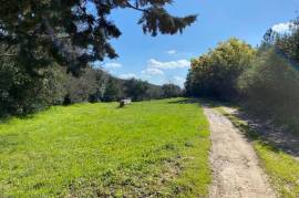 Impressive Renovated Mas With A Main House And A Gite, On 5,5 Hectares Of Land, In An Idyllic Setting.