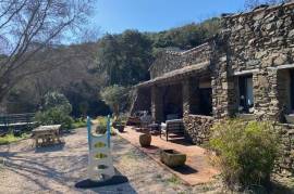 Impressive Renovated Mas With A Main House And A Gite, On 5,5 Hectares Of Land, In An Idyllic Setting.