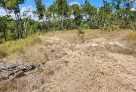 467 acres for lease in Southern Belize
