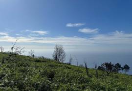 Land with 1206 square meters located in Fajã da Ovelha - Calheta - Madeira Island, for Sale