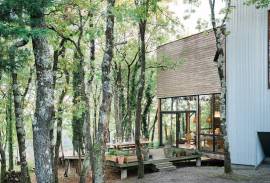 The house in the trees