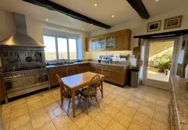 Perfect double volume Gascon Maison de Maitre house with immaculate gite, covered pool and 5 hectares of land.