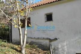 Amfilochia (Amfilochia)
