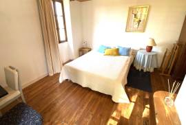 Charmante maison en pierre a vendre dans le coeur du Perigord Noir