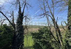 Charmante maison en pierre a vendre dans le coeur du Perigord Noir