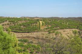 Land with 385.000 m2 and 140m2 of house with 5 bedrooms, living room, WC and garage, pines and dam. Located in the municipality of Castro Marim, in the place of Vale das Zorras.
