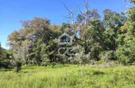 Land with 5710 m2 and feasibility of building a detached house, next to the IC3, in Maçãs de D.ª Maria