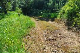 Land for construction of House, Coimbra