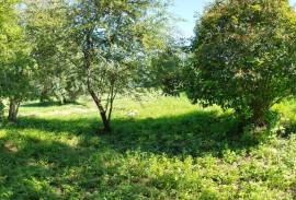 Land for construction of House, Coimbra