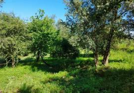 Land for construction of House, Coimbra