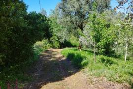 Land for construction of House, Coimbra