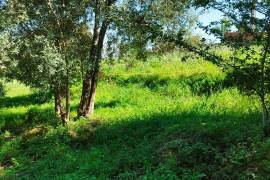 Land for construction of House, Coimbra