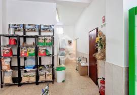 Shop for sale in Caldas da Rainha
