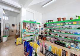 Shop for sale in Caldas da Rainha