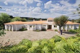 5 bedroom farm with 423 m2 of area on a plot of land with 8200 m2 located near Santarém