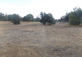 Farm of 550m2, land of 18416m2, 5 suites, swimming pool, Grandola, Setubal