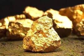 Depósito de diamantes e ouro para venda - EfG-1115931
