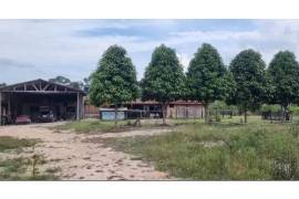 Amazonas fruit farm for sale - LAk-BR-003