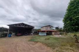 Brasil: Fazenda de frutas do Amazonas - LAk-BR-003