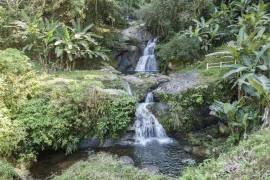 Farm 420 hectares with waterfall - BRA11TOCA