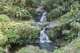 Fazenda 420 hectares queda d'água - BRA11TOCA