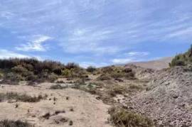 Een oase in de Atacama-woestijn - bravo-001