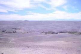 Оазис в пустыне Атакама - bravo-001