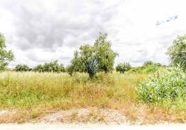 Agricultural land of 2,000 m2 with olive grove and views.