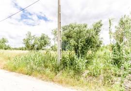 Agricultural land of 2,000 m2 with olive grove and views.