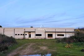 Warehouse with + 1600m2 in Seia