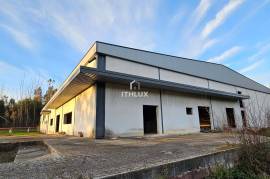 Warehouse with + 1600m2 in Seia