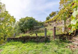 Country House with Land of 4.500m2, Ovil, Queimada, Baião